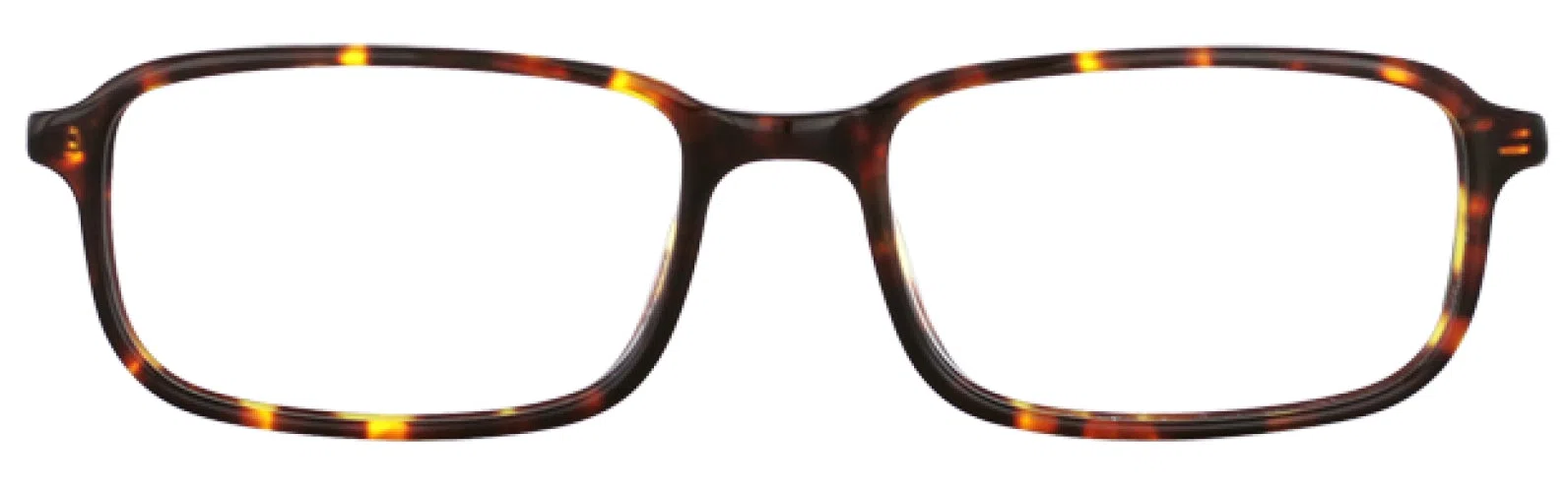 Stetson S316 Eyeglasses - Grey - view 8